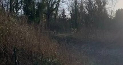 Perthes Maison neuve - 2633910-11657annonce220260915DG7ek.jpeg Maisons Evolution